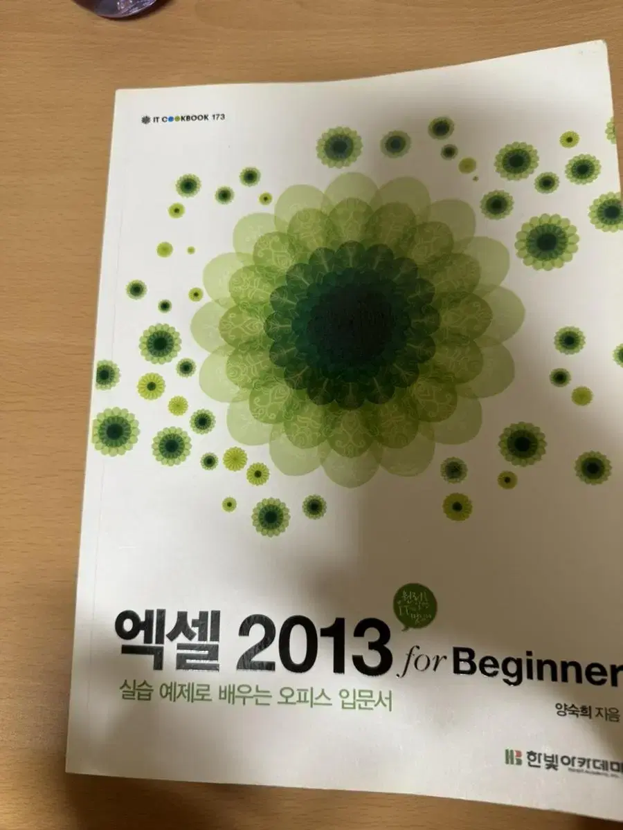 엑셀 2013 for beginner